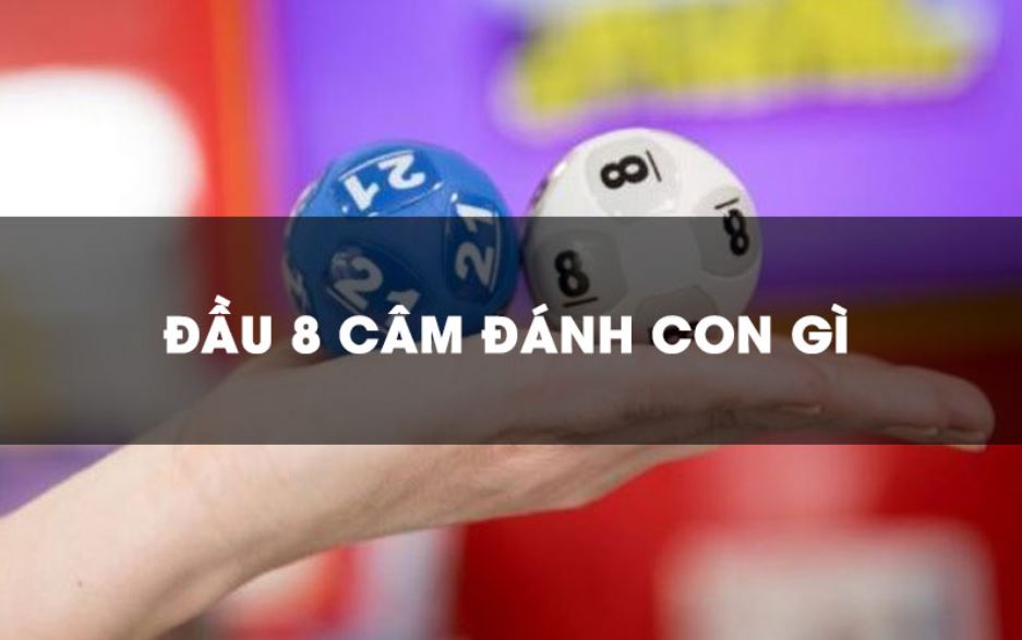 Lô đầu 8 câm đánh con gì hôm sau dễ trúng giải lớn?